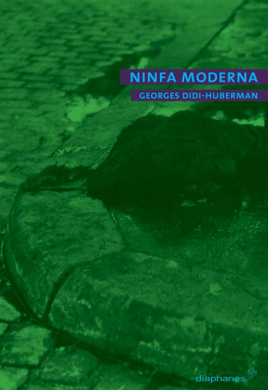 Cover-Bild Ninfa moderna