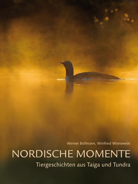 Cover-Bild Nordische Momente