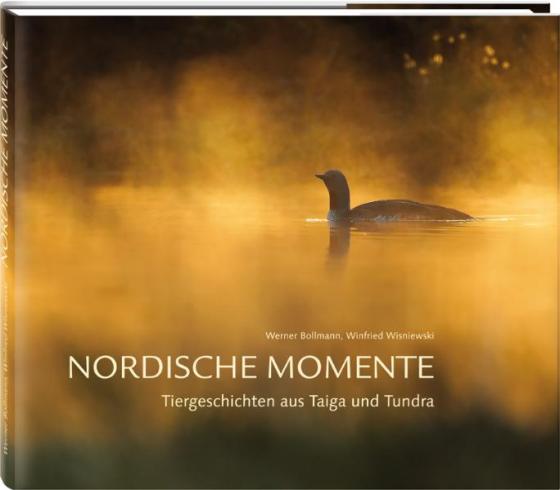 Cover-Bild Nordische Momente