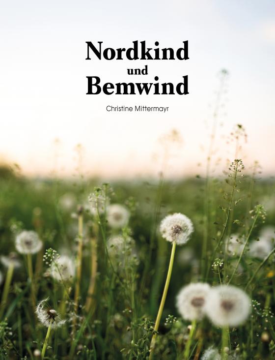 Cover-Bild Nordkind und Bemwind