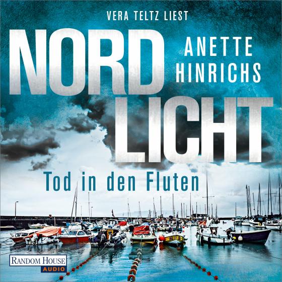 Cover-Bild Nordlicht - Tod in den Fluten