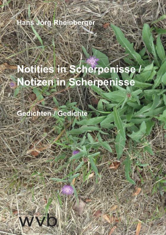 Cover-Bild Notities in Scherpenisse / Notizen in Scherpenisse