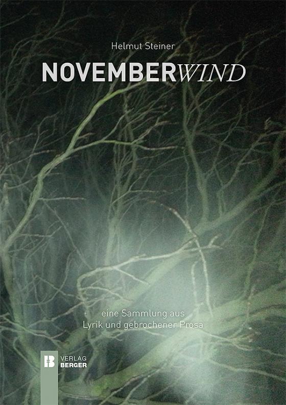Cover-Bild Novemberwind