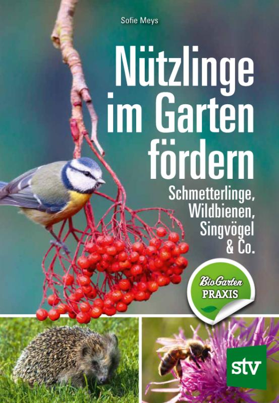 Cover-Bild Nützlinge im Garten fördern