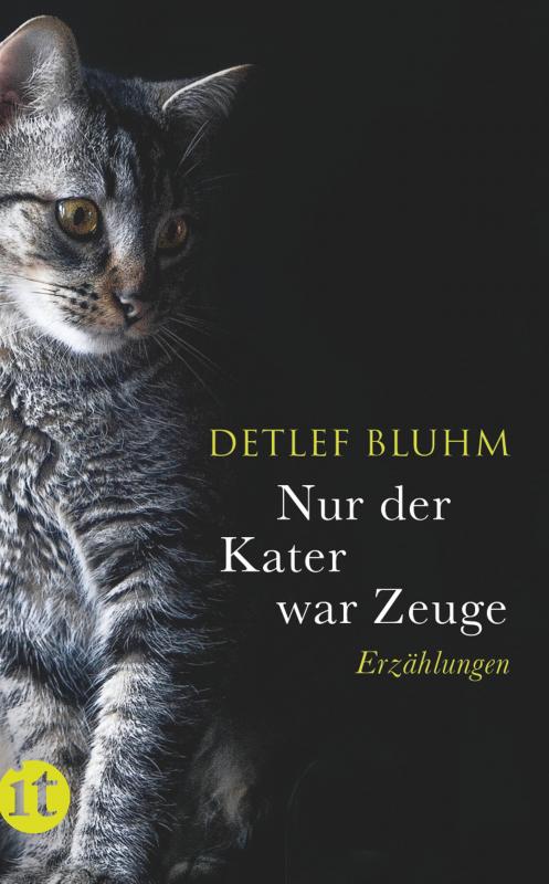 Cover-Bild Nur der Kater war Zeuge