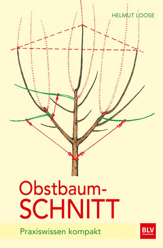 Cover-Bild Obstbaumschnitt