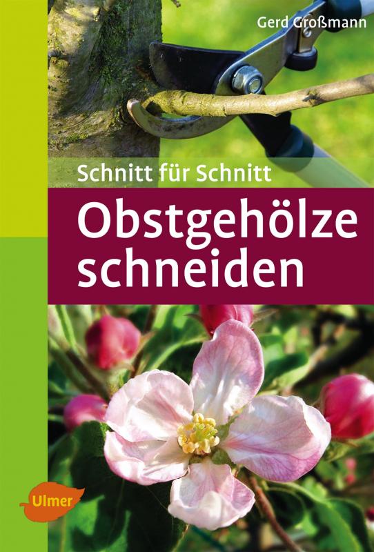 Cover-Bild Obstgehölze schneiden