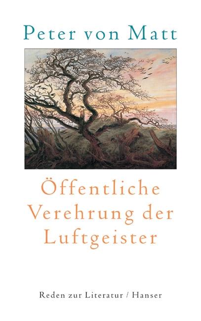 Cover-Bild Öffentliche Verehrung der Luftgeister