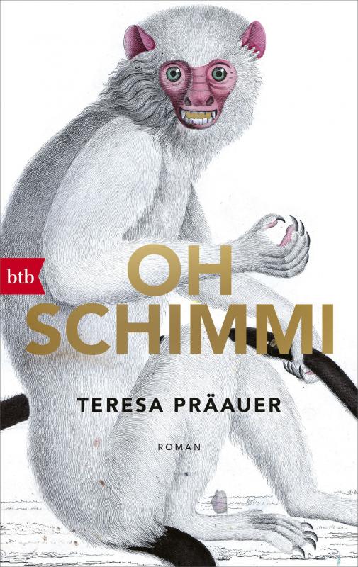 Cover-Bild Oh Schimmi