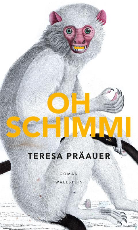 Cover-Bild Oh Schimmi