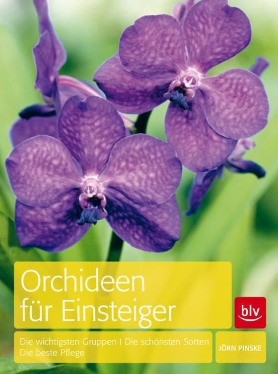 Cover-Bild Orchideen für Einsteiger