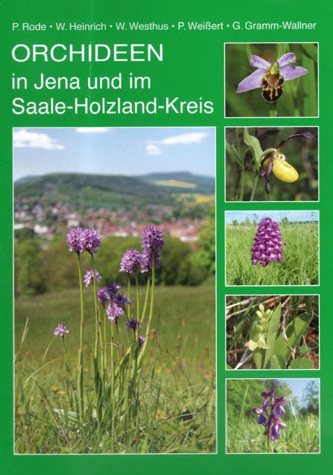 Cover-Bild Orchideen in Jena und im Saale-Holzland-Kreis