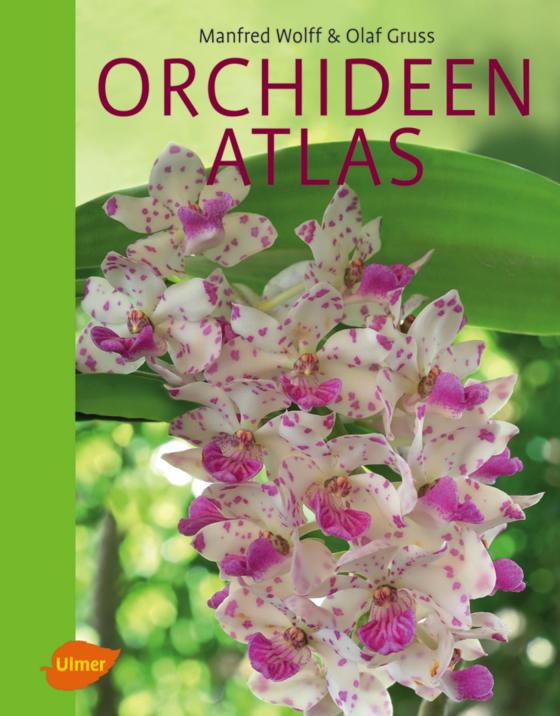 Cover-Bild Orchideenatlas