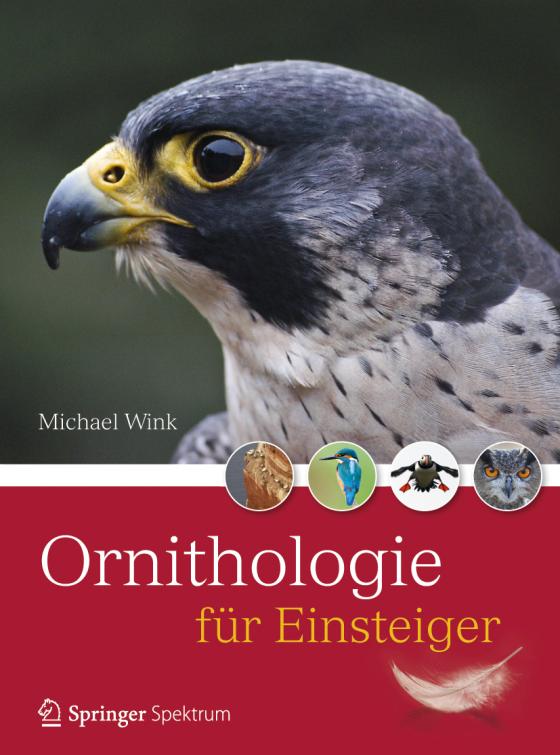 Cover-Bild Ornithologie für Einsteiger
