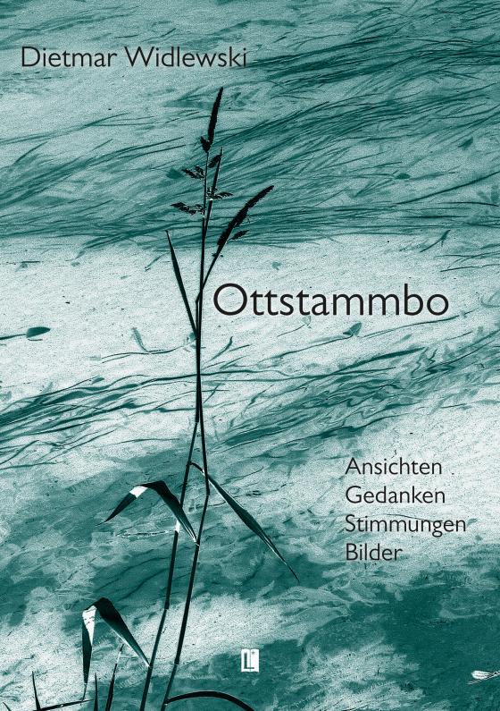 Cover-Bild Ottstammbo