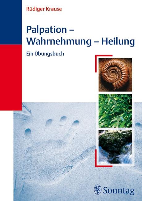 Cover-Bild Palpation - Wahrnehmung - Heilung