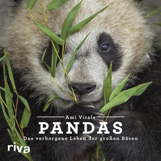 Cover-Bild Pandas