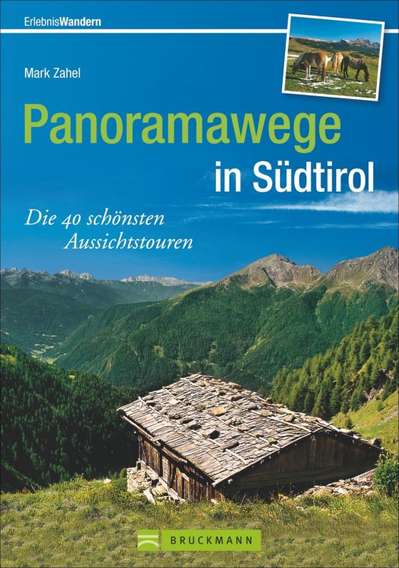 Cover-Bild Panoramawege in Südtirol