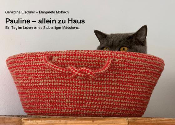 Cover-Bild Pauline - allein zu Haus