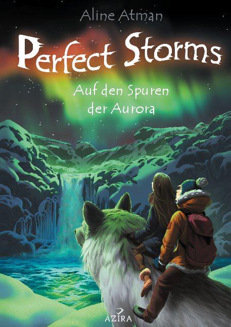 Cover-Bild Perfect Storms