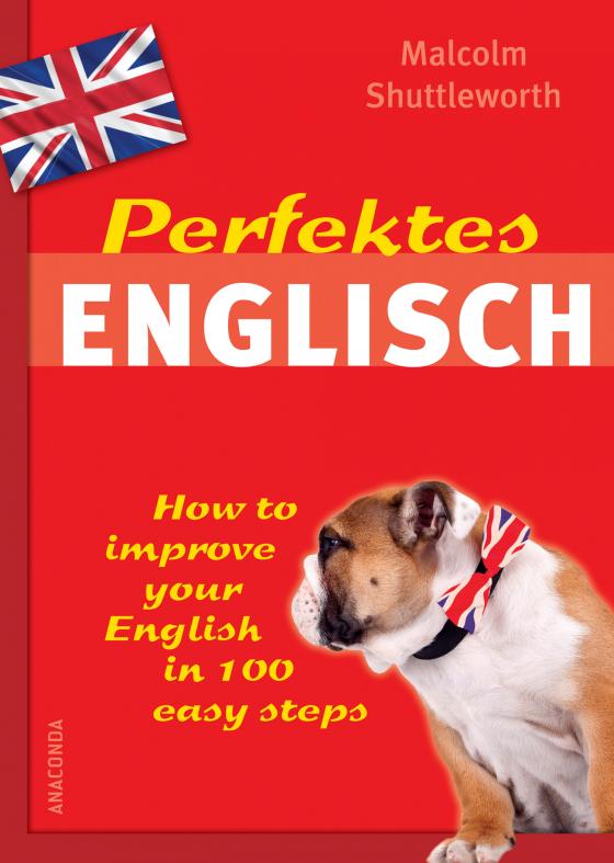 Cover-Bild Perfektes Englisch - How to improve your English in 100 easy steps