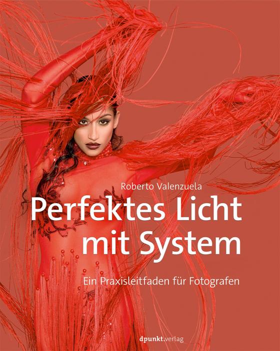 Cover-Bild Perfektes Licht mit System