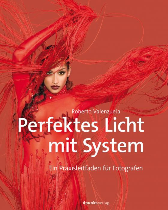 Cover-Bild Perfektes Licht mit System