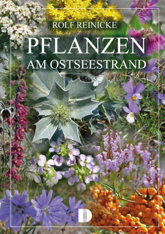 Cover-Bild Pflanzen am Ostseestrand
