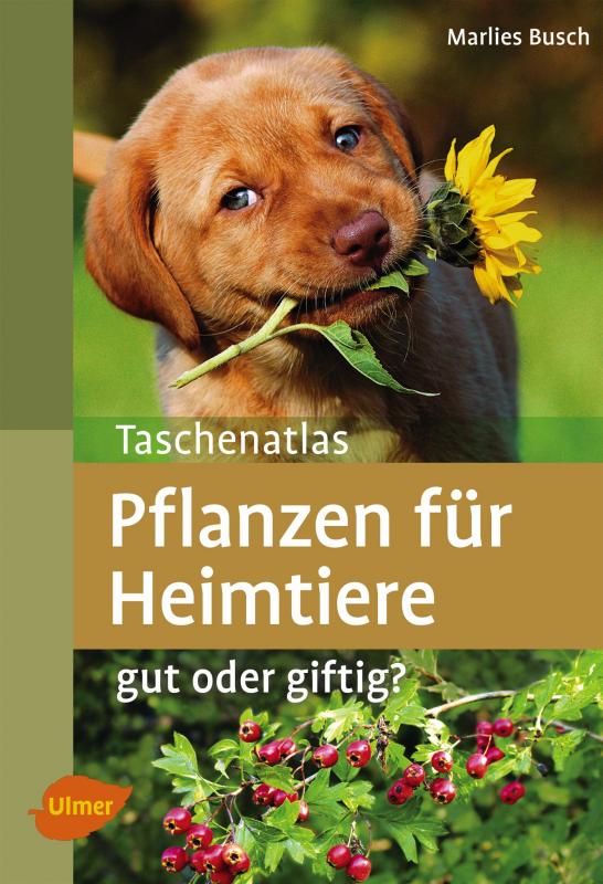 Cover-Bild Pflanzen für Heimtiere