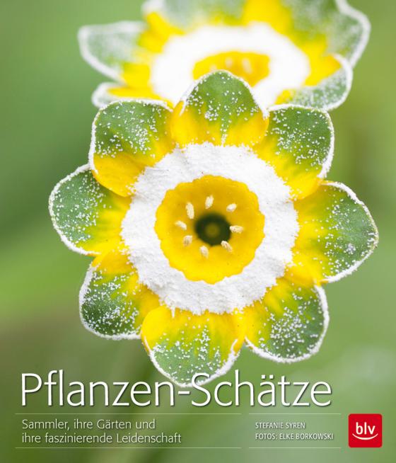 Cover-Bild Pflanzen-Schätze