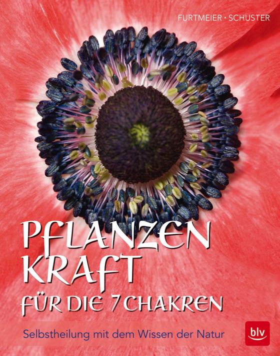 Cover-Bild Pflanzenkraft für die 7 Chakren