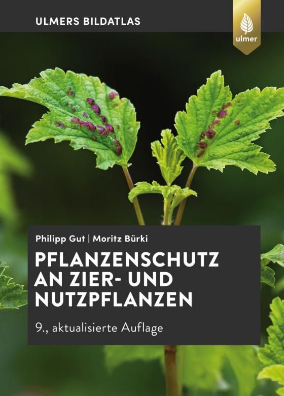 Cover-Bild Pflanzenschutz an Zier- und Nutzpflanzen