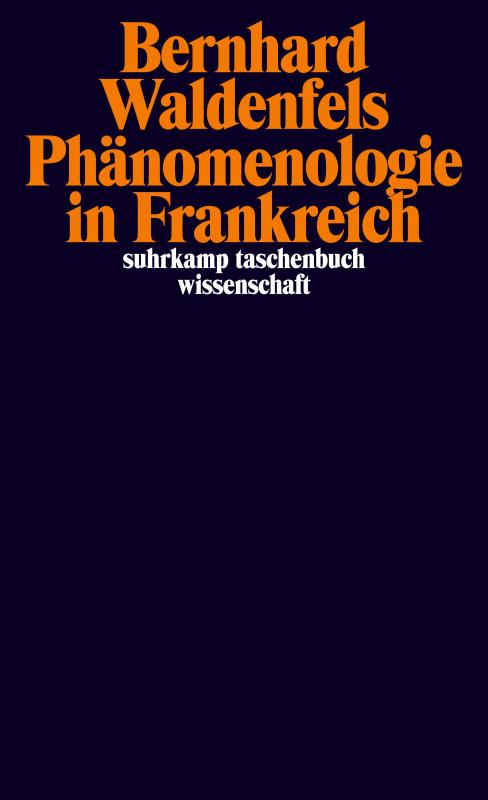 Cover-Bild Phänomenologie in Frankreich