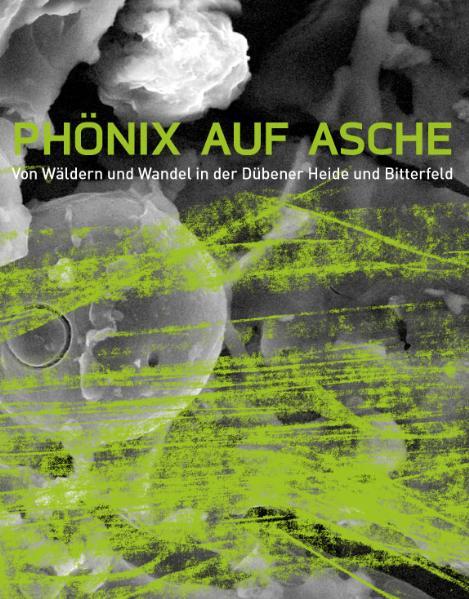 Cover-Bild Phönix auf Asche