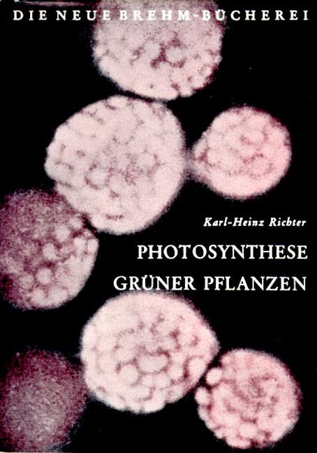 Cover-Bild Photosynthese grüner Pflanzen