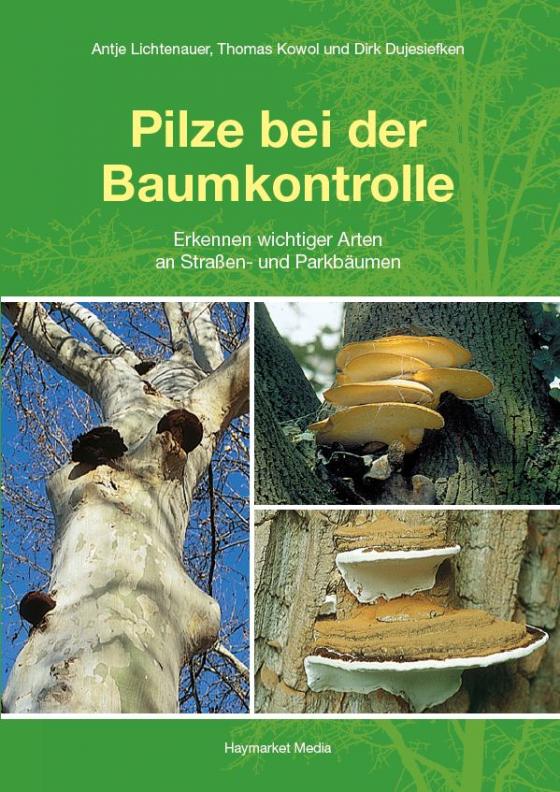 Cover-Bild Pilze bei der Baumkontrolle