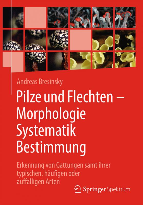 Cover-Bild Pilze und Flechten – Morphologie, Systematik, Bestimmung