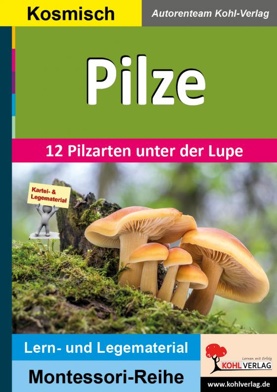 Cover-Bild Pilze