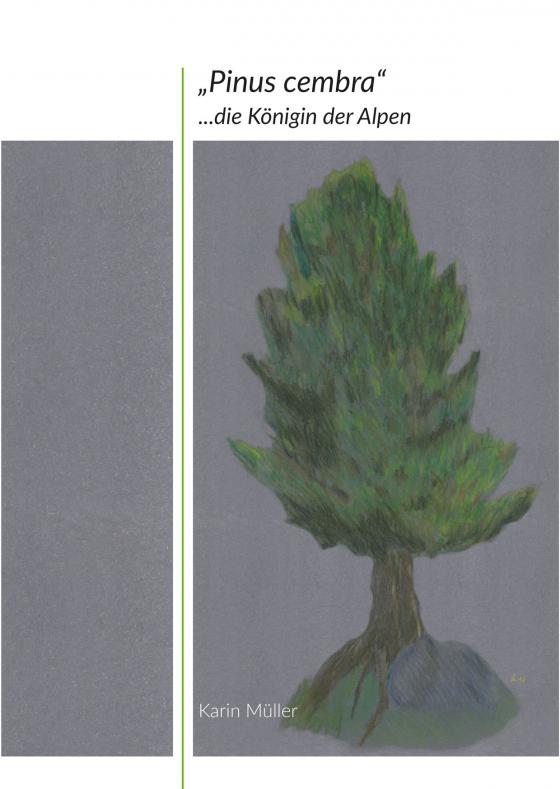 Cover-Bild „Pinus cembra“