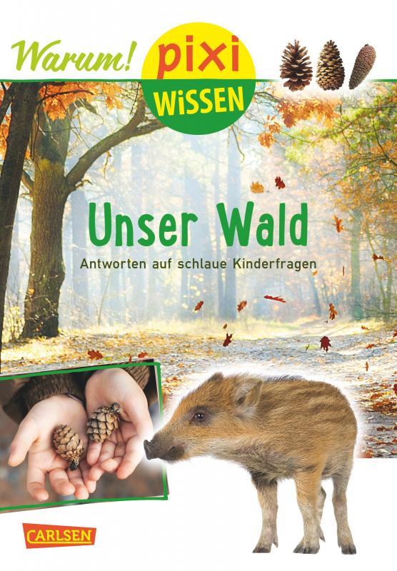 Cover-Bild Pixi Wissen 93: Unser Wald (mit Fotos)