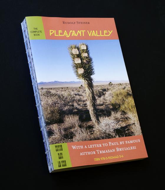 Cover-Bild Pleasant Valley
