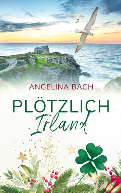 Cover-Bild Plötzlich Irland