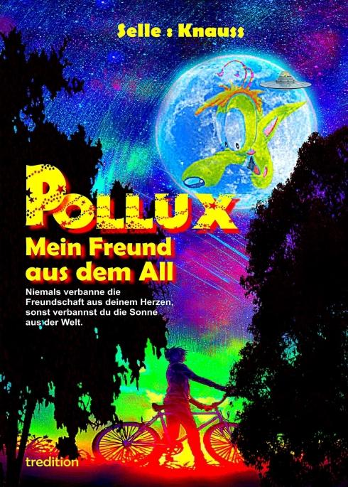 Cover-Bild POLLUX - Mein Freund aus dem All