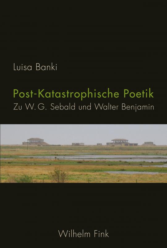 Cover-Bild Post-Katastrophische Poetik