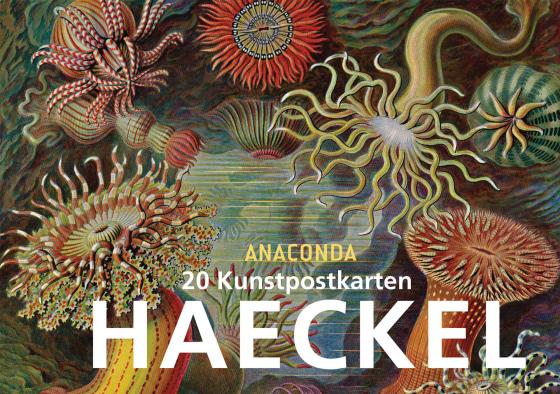 Cover-Bild Postkartenbuch Ernst Haeckel