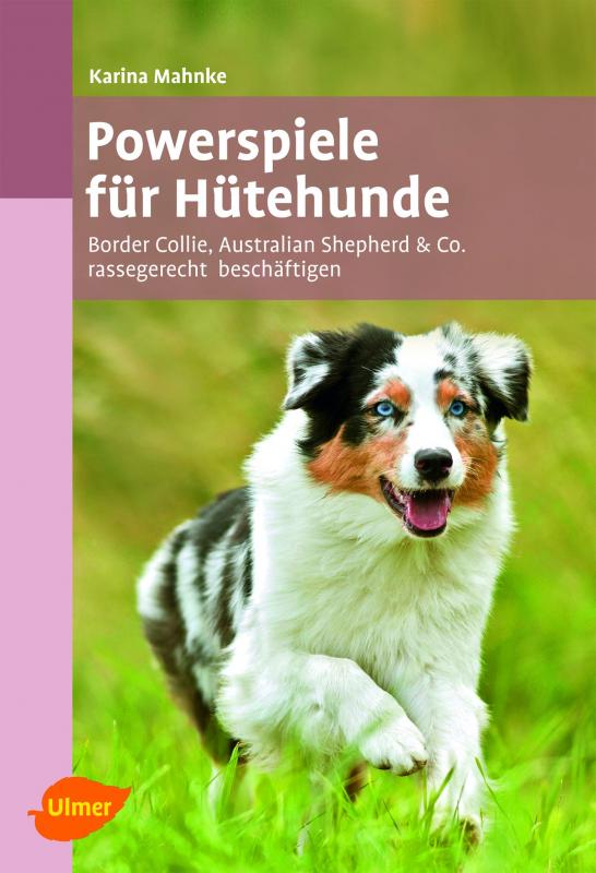 Cover-Bild Powerspiele für Hütehunde