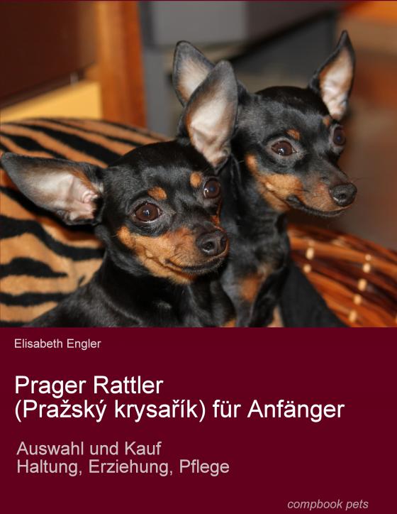 Cover-Bild Prager Rattler (Pražský krysařík) für Anfänger