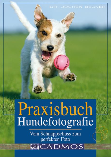 Cover-Bild Praxisbuch Hundefotografie