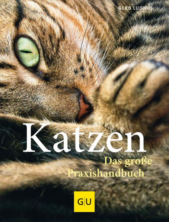 Cover-Bild Praxishandbuch Katzen