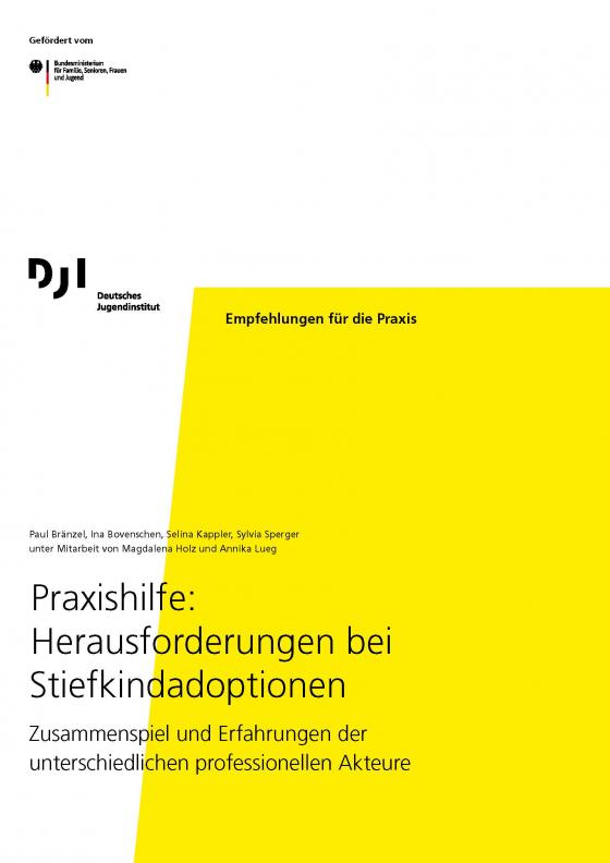 Cover-Bild Praxishilfe: Herausforderungen bei Stiefkindadoptionen